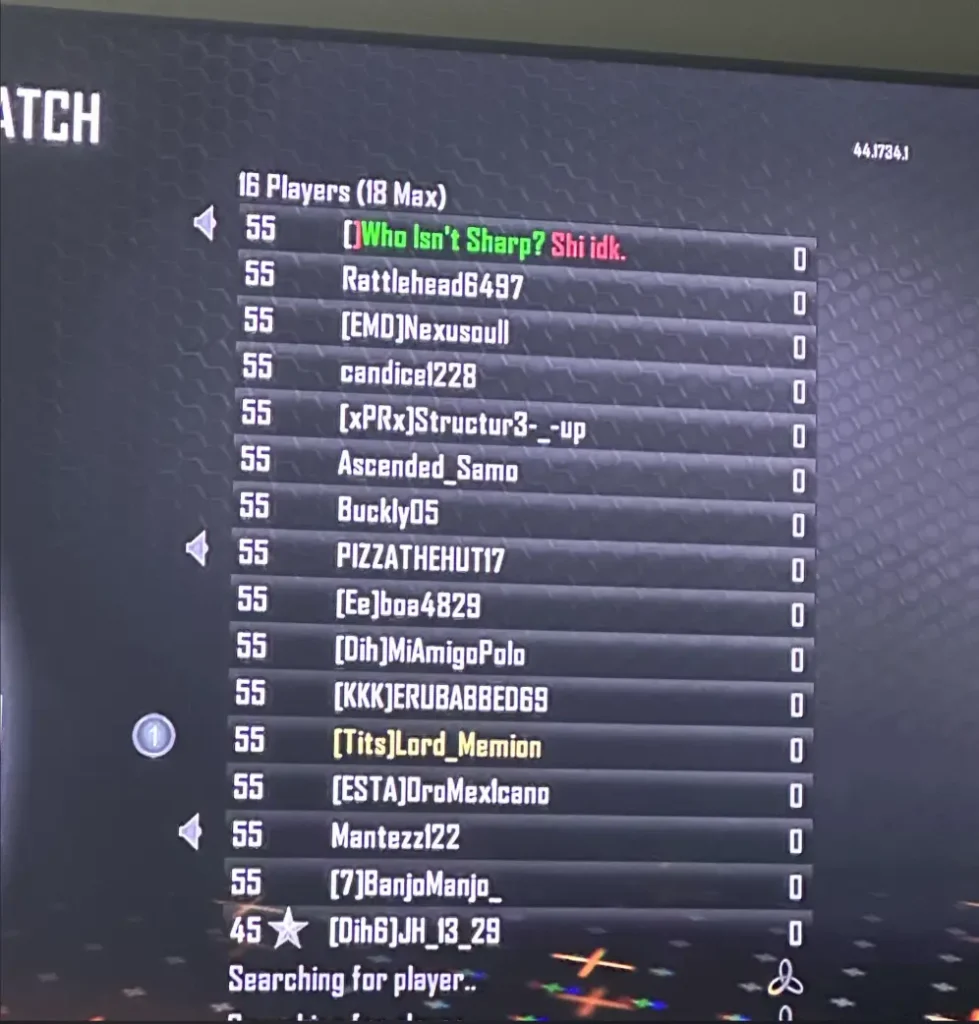 Call of Duty hackers.