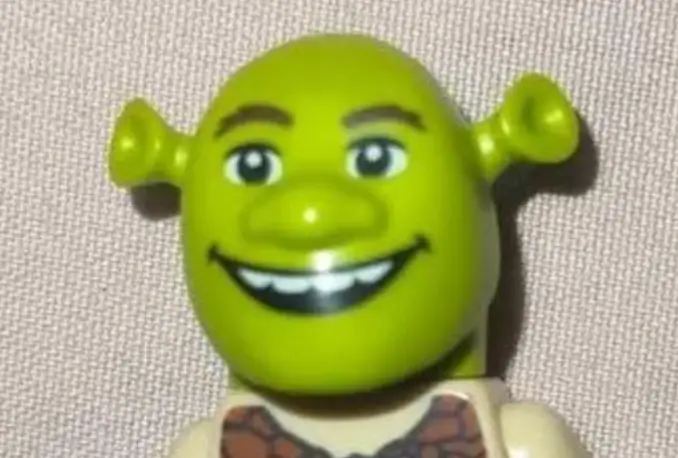 Lego Shrek head.